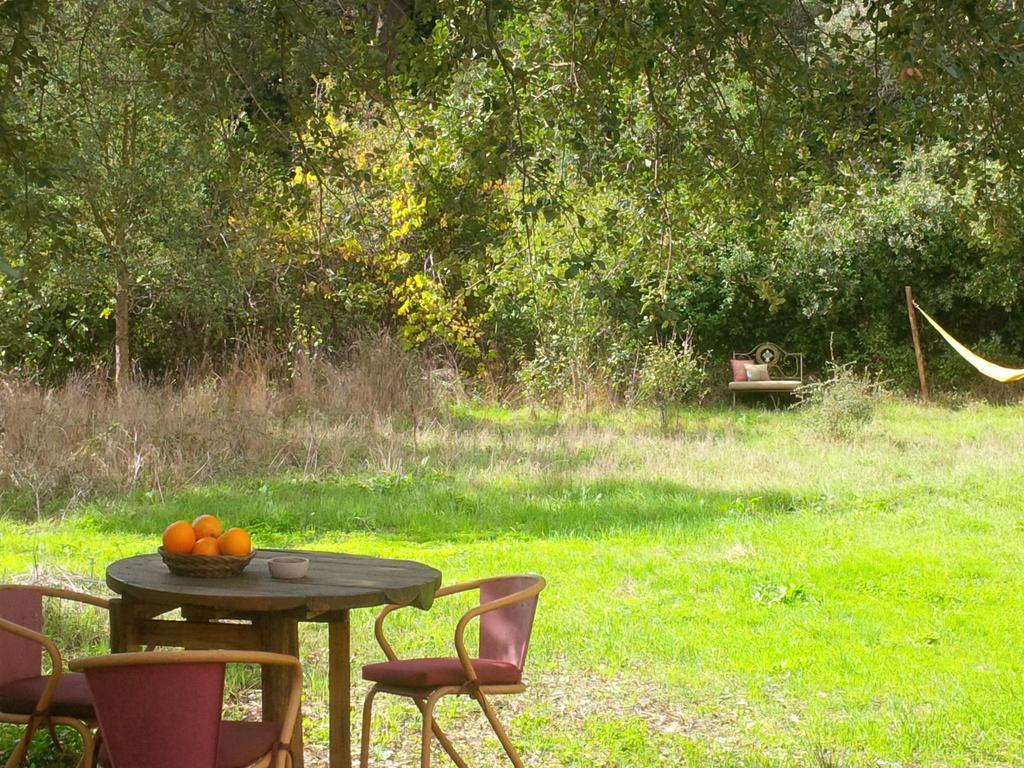 Quiet And Cottage In The Estate Casas Da Cerca Troviscais Dış mekan fotoğraf